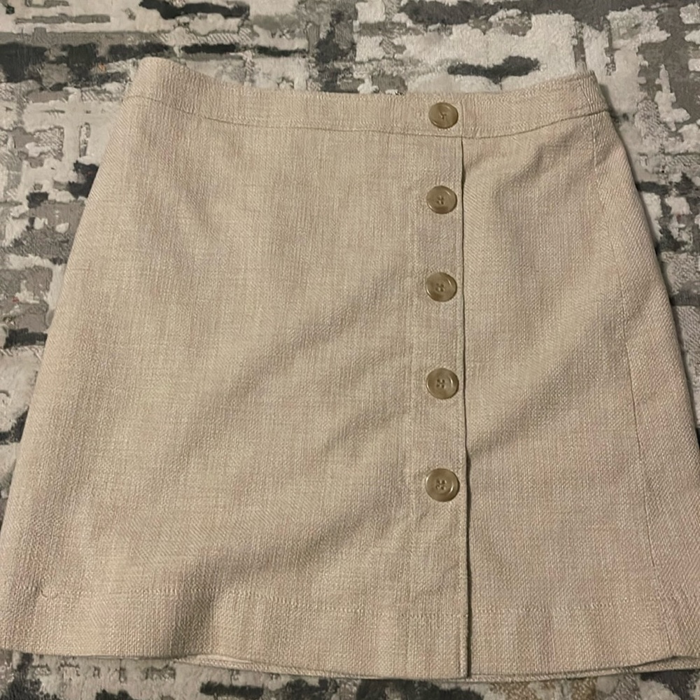Ann Taylor Skirt